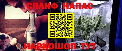 СК Будённовск
