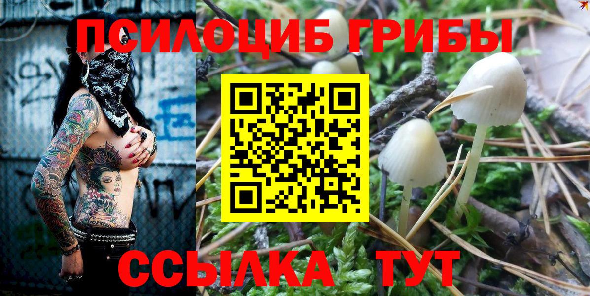 Галлюциногенные грибы Psilocybe  Псилоцибиновые грибы MAGIC MUSHROOMS  Вход с VPN  Саров 